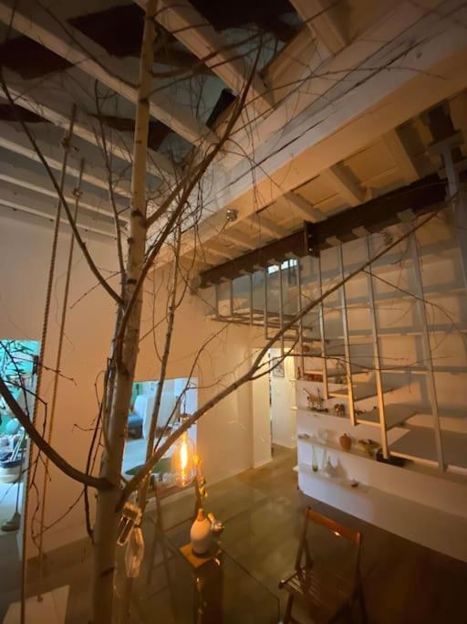 Casa Degli Alberi Apartman Torino Kültér fotó