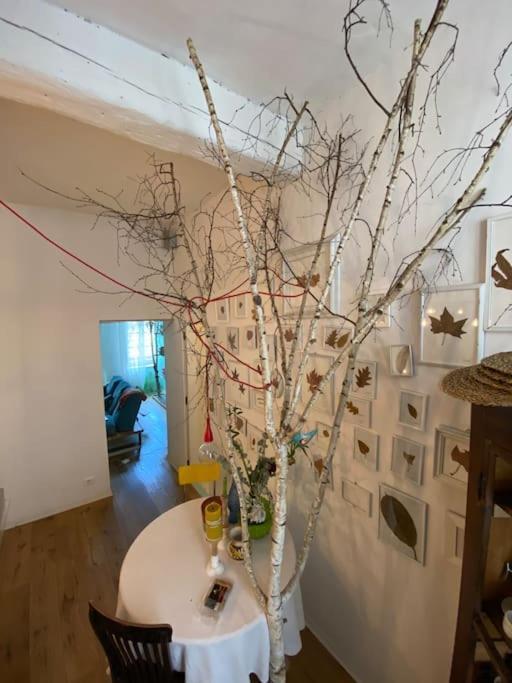 Casa Degli Alberi Apartman Torino Kültér fotó