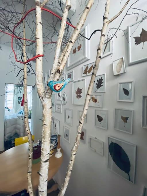 Casa Degli Alberi Apartman Torino Kültér fotó