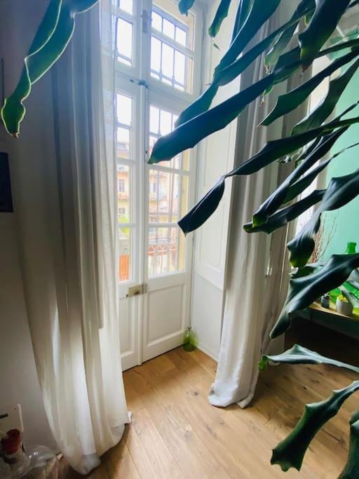 Casa Degli Alberi Apartman Torino Kültér fotó