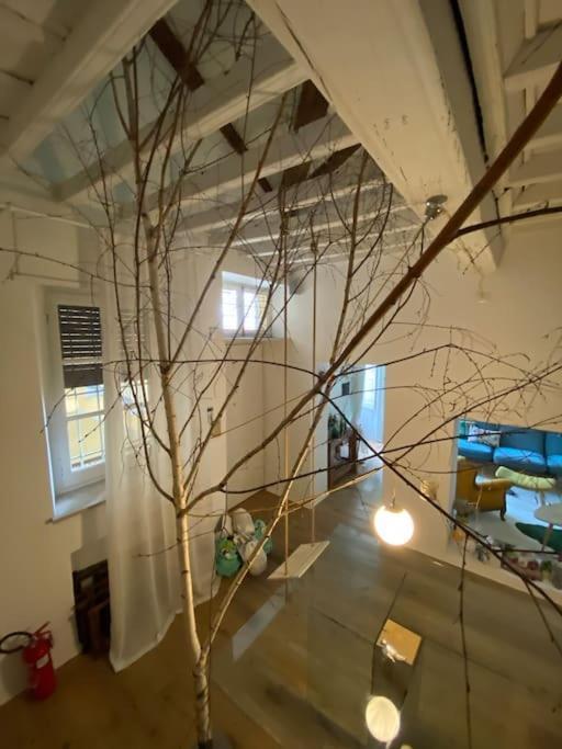 Casa Degli Alberi Apartman Torino Kültér fotó