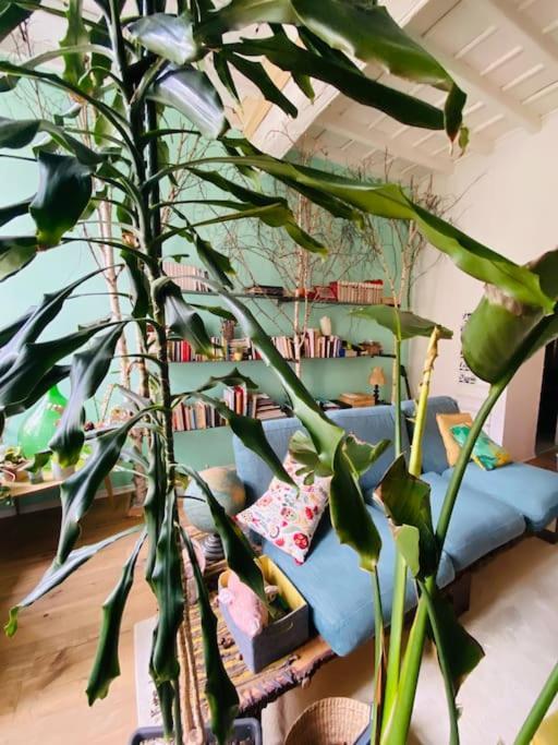Casa Degli Alberi Apartman Torino Kültér fotó