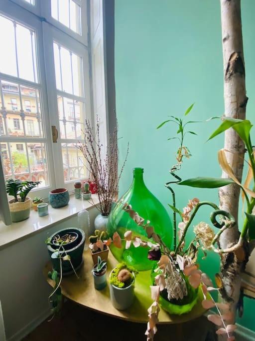 Casa Degli Alberi Apartman Torino Kültér fotó